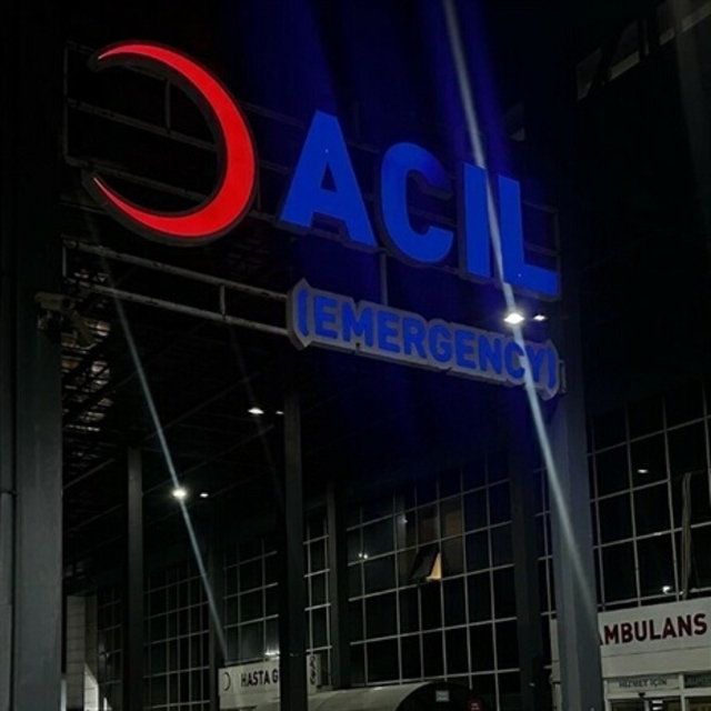 İzmir'de köpeğe ateş açtı, saçmalar yoldan geçen çifte isabet etti; 1 ölü,...