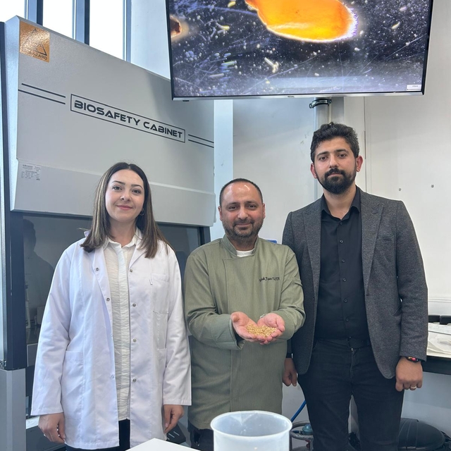 Sivas'ta yetiştirilen zeron buğdayından organik bulgur üretildi