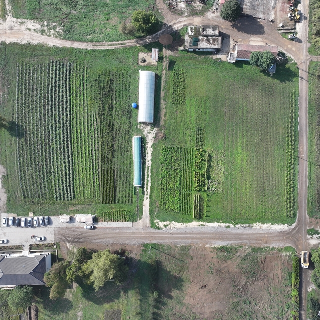 Düzce'de 200 dönüm atıl arazi kadın ve gençlerin elinde değer kazandı