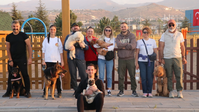 Millet bahçesinde köpekler parkurda eğitilip, stres seviyeleri yürüyüşle azaltılıyor