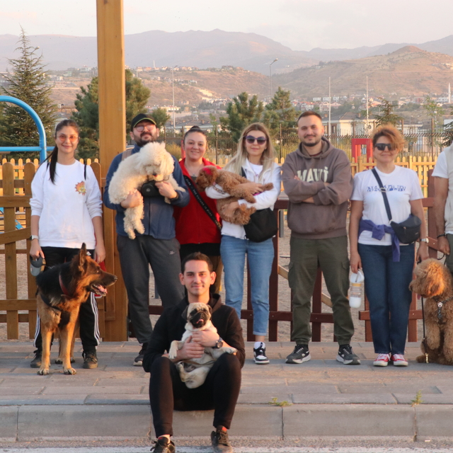Millet bahçesinde köpekler parkurda eğitilip, stres seviyeleri yürüyüşle az...