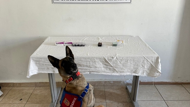 Van'da İran uyruklu şüphelinin üstünde 380 sentetik hap ele geçirildi