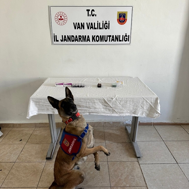Van'da İran uyruklu şüphelinin üstünde 380 sentetik hap ele geçirildi