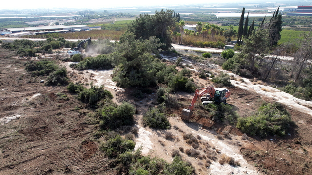 Mersin'in Akdeniz ilçesinde sahipsiz hayvanlar için "doğal yaşam alanı" kuruluyor