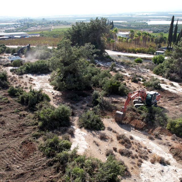 Mersin'in Akdeniz ilçesinde sahipsiz hayvanlar için "doğal yaşam alanı" kur...
