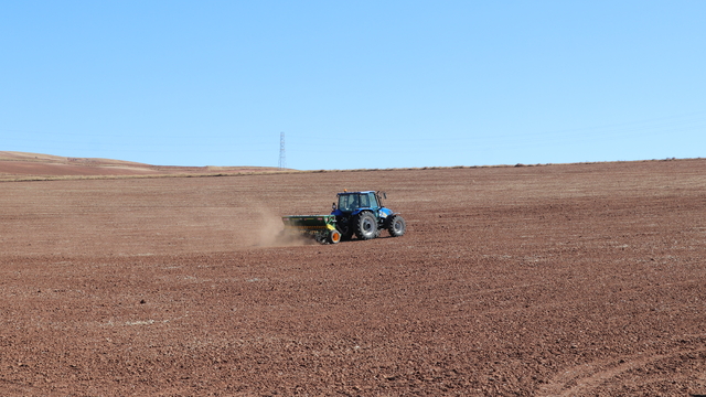 Sivas'ta yerli buğday ve arpa çeşitlerinde deneme ekimleri başladı