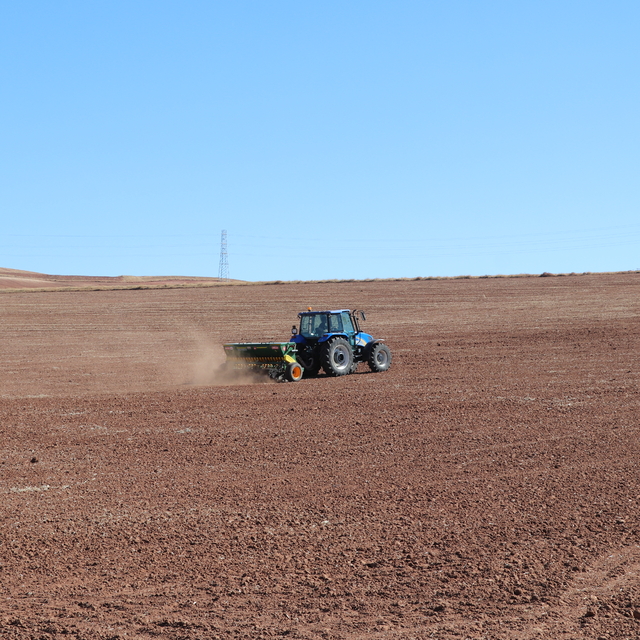 Sivas'ta yerli buğday ve arpa çeşitlerinde deneme ekimleri başladı