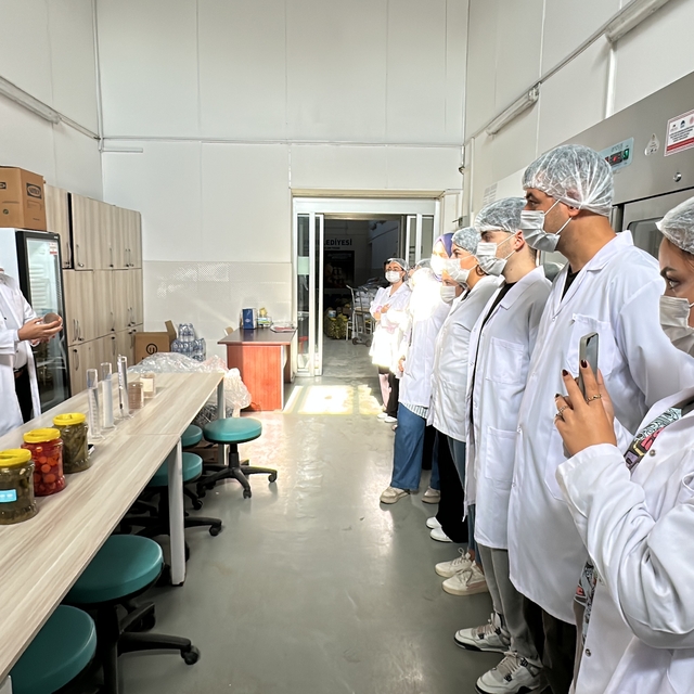 Üniversite öğrencilerinden Çubuk Turşu Atölyesine ziyaret