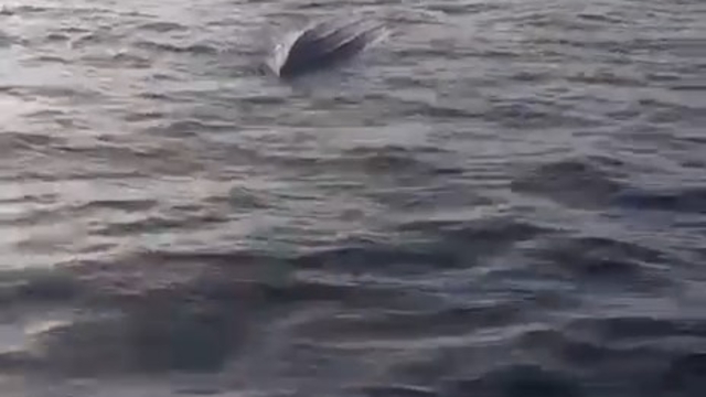 Artvin'de balıkçılar insansız deniz aracı buldu; özel ekip inceleyecek