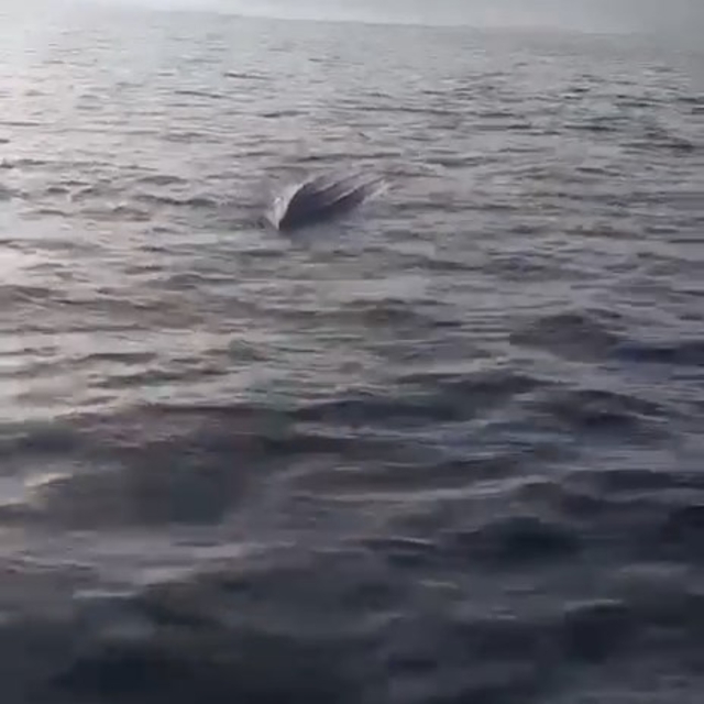 Artvin'de balıkçılar insansız deniz aracı buldu; özel ekip inceleyecek