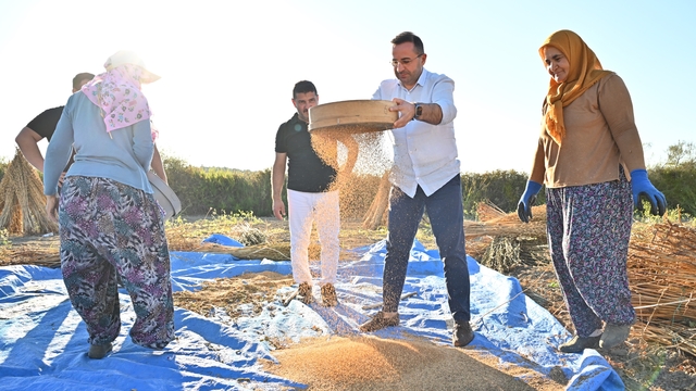 Antalya'da Manavgat susamında hasat dönemi başladı