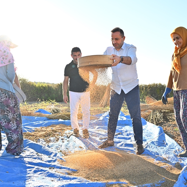 Antalya'da Manavgat susamında hasat dönemi başladı