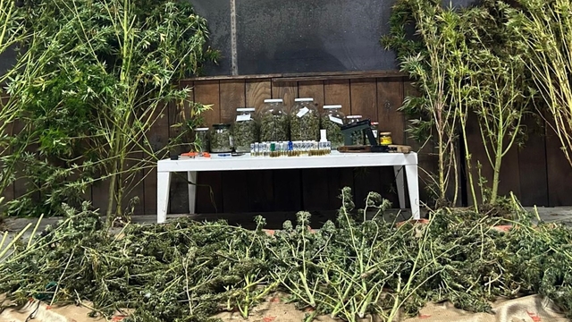 Bursa'da düzenlenen uyuşturucu operasyonunda 1 kişi gözaltına alındı