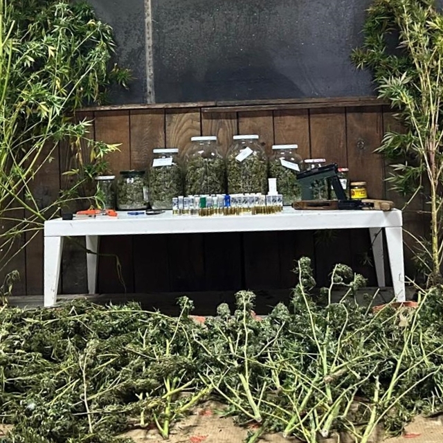 Bursa'da düzenlenen uyuşturucu operasyonunda 1 kişi gözaltına alındı