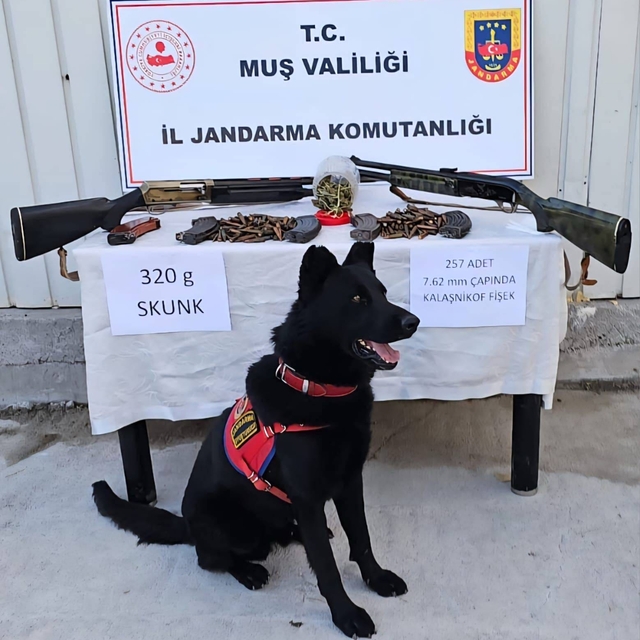 Muş'ta uyuşturucu ve mühimmat ele geçirildi