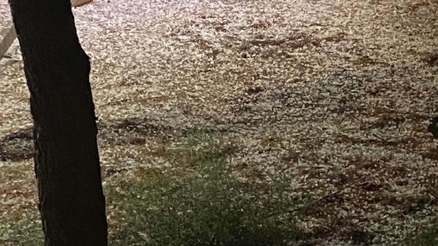 Alaşehir'de fındık büyüklüğünde dolu yağdı