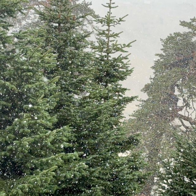 Bolu'nun yüksek kesimlerine kar yağdı