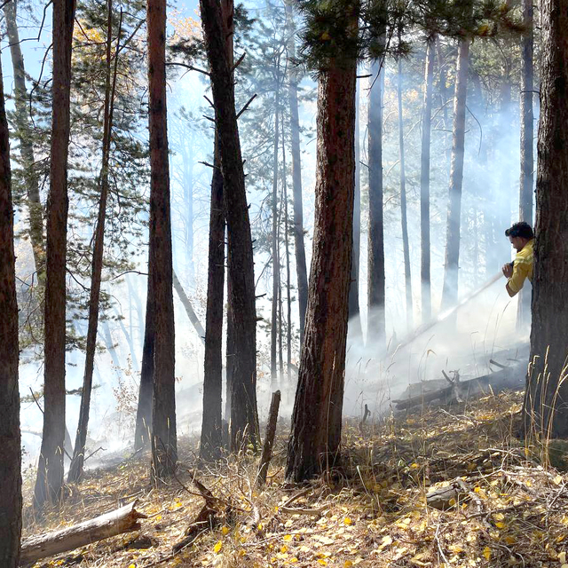 Sarıkamış'ta çıkan orman yangınında yaklaşık 1,5 hektar alan zarar gördü