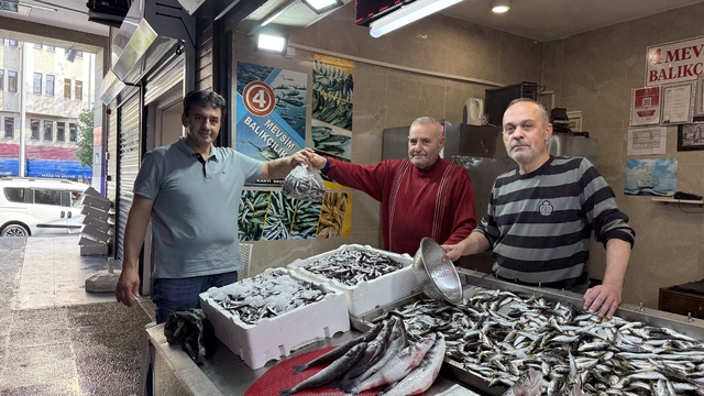 Trabzon'da balıkçı tezgahlarında istavrit ilgi görüyor