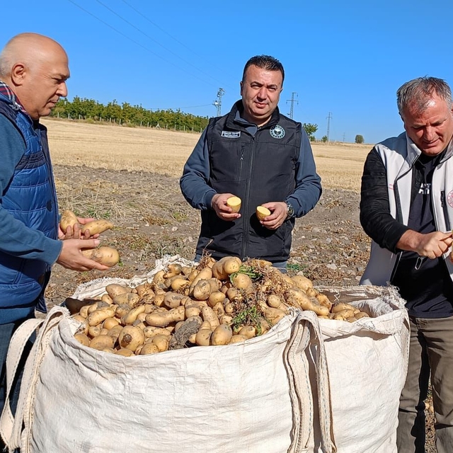 Beyşehir'de patates hasadı başladı