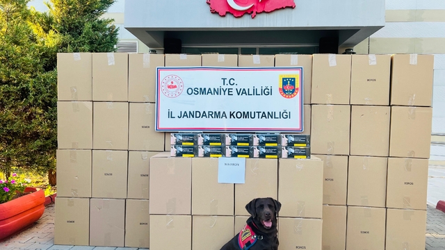 Osmaniye'de 1 milyon 250 bin makaron ele geçirildi