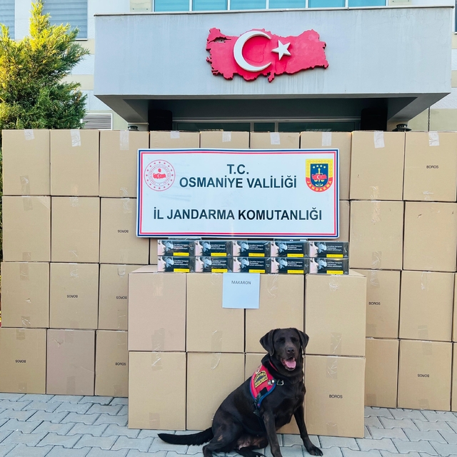 Osmaniye'de 1 milyon 250 bin makaron ele geçirildi