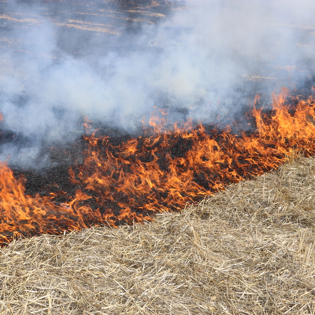 Amasya'da çıkan anız yangını söndürüldü