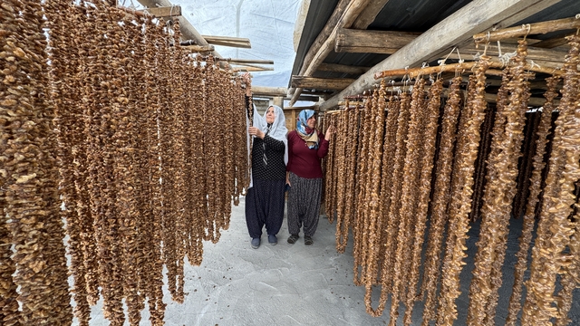 Elazığ'ın tescilli lezzeti "orcik"in yapımına başlandı