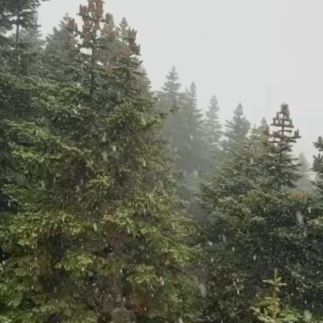 Uludağ'a kar yağdı (2)