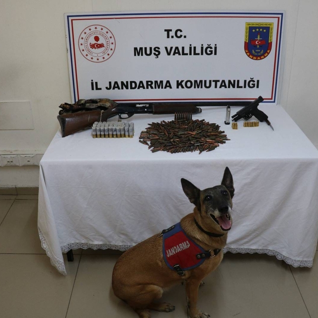 Muş'ta tezek birikintisinin altına gömülmüş silah ve mühimmat ele geçirildi