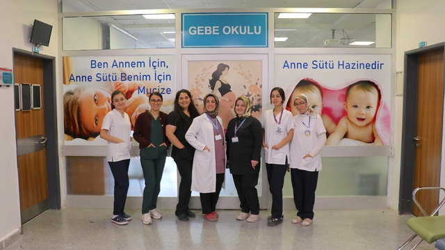 Van'da yaklaşık 15 bin kadın normal doğum ve anne sütü konusunda bilgilendirildi