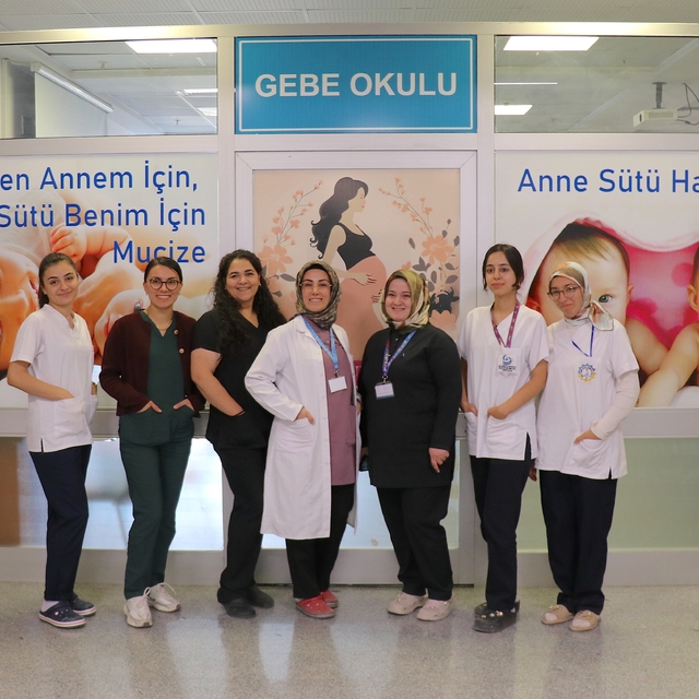 Van'da yaklaşık 15 bin kadın normal doğum ve anne sütü konusunda bilgilendi...