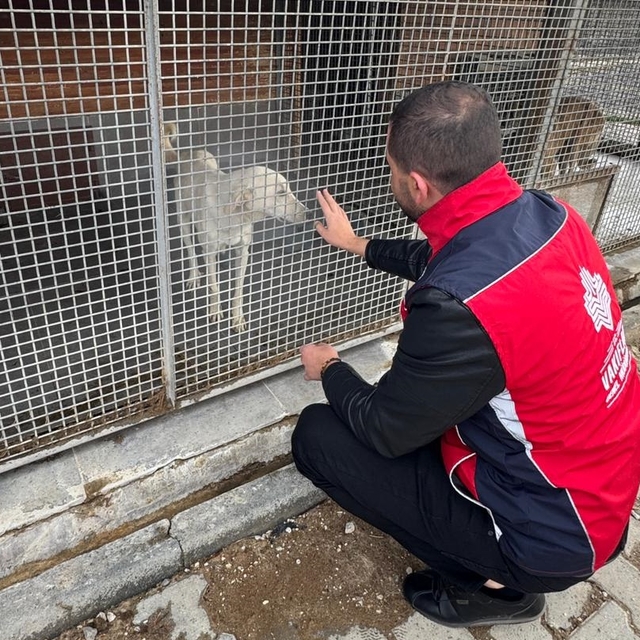 Kütahya'da vakıf hayır şartıyla sahipsiz hayvanlara mama desteği verildi