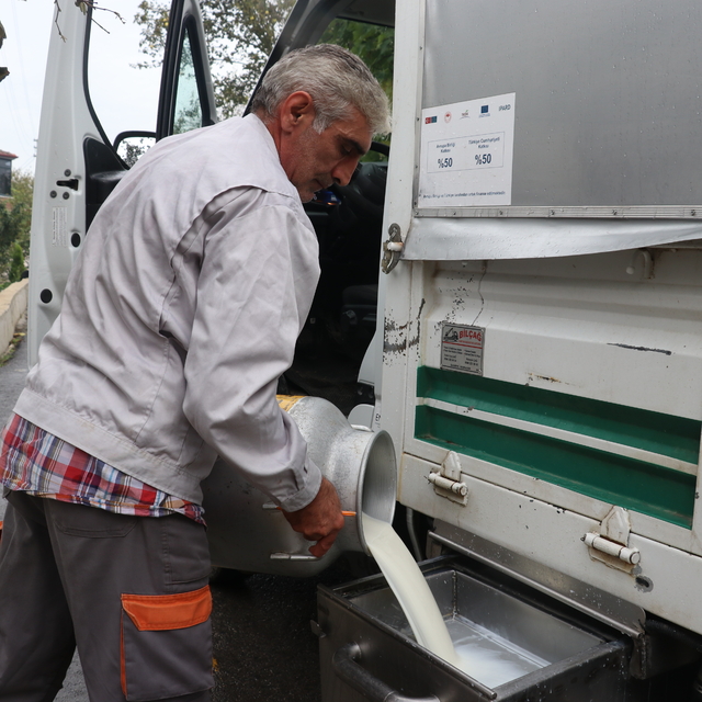 Sakarya'daki Tarımsal Kalkınma Kooperatifi devlet desteğiyle süt üretimini...