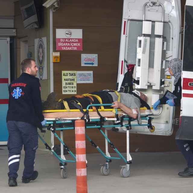Bursa'da ağaçtan düşen kişi hastaneye kaldırıldı