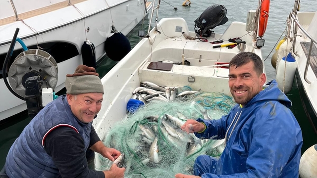 Enez'de ağlara takılan kefal balıkçıları sevindirdi
