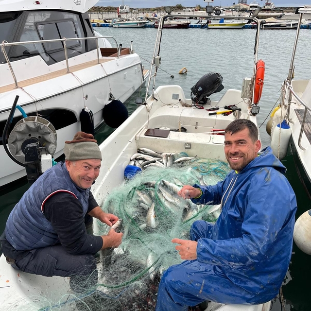 Enez'de ağlara takılan kefal balıkçıları sevindirdi