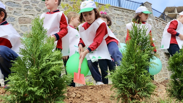 Trabzon'da ilkokul öğrencileri fidan dikti