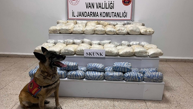 Van'da 47 kilo 800 gram skunk ele geçirildi