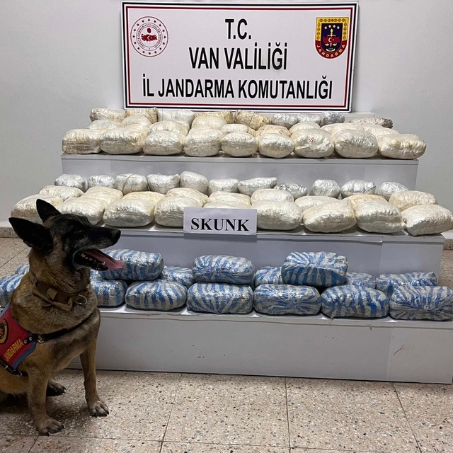 Van'da 47 kilo 800 gram skunk ele geçirildi