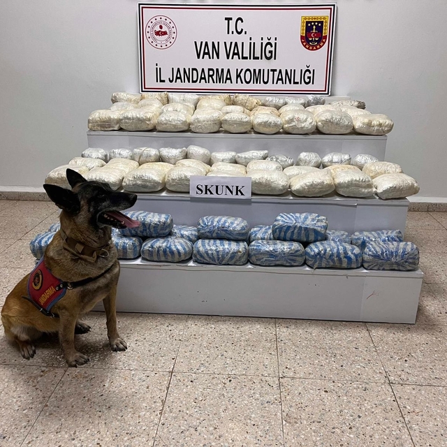 Van'da 47 kilo 800 gram skunk ele geçirildi