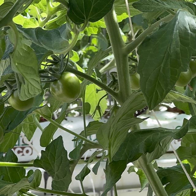 PANKOBİRLİK Genel Başkanı Erkoyuncu, Konya'da basın mensuplarıyla buluştu