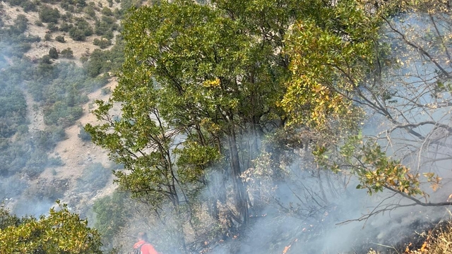 Hakkari kırsalında çıkan yangın söndürüldü