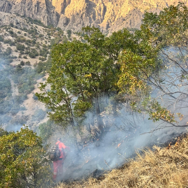 Hakkari kırsalında çıkan yangın söndürüldü