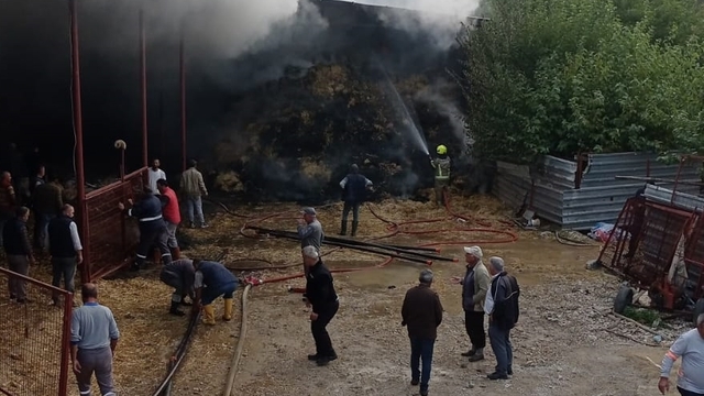 Bursa'da ahırda çıkan yangında 170 küçükbaş hayvan telef oldu