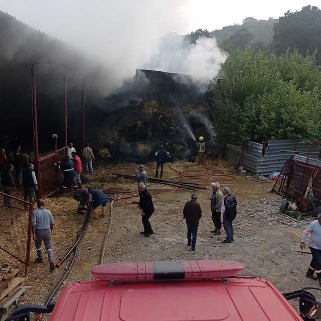 Bursa'da ahırda çıkan yangında 170 küçükbaş hayvan telef oldu