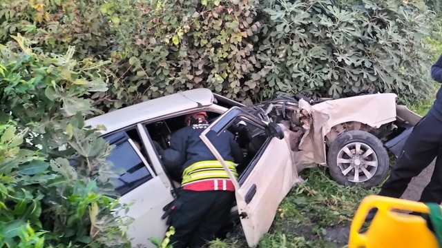Samsun'da ağaçlık alana düşen otomobildeki 2 kişi yaralandı