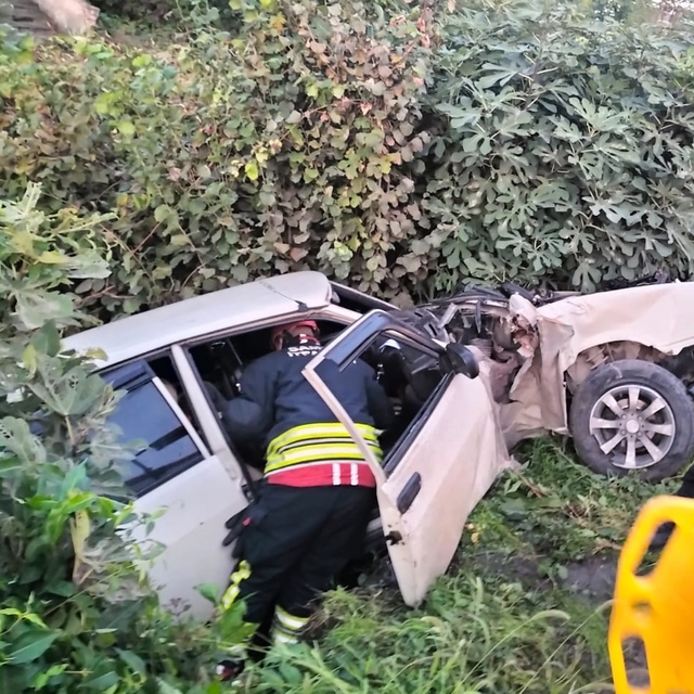 Samsun'da ağaçlık alana düşen otomobildeki 2 kişi yaralandı
