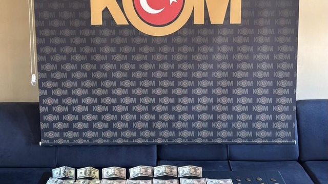 Ağrı'da evinde sahte dolar ve sikke ele geçirilen şüpheli tutuklandı