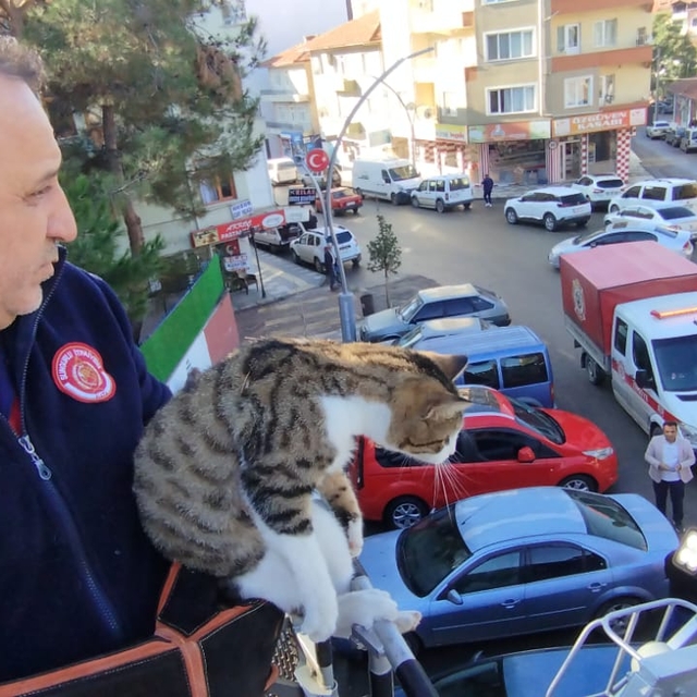 Sungurlu'da çatıda mahsur kalan kedi itfaiye ekiplerince kurtarıldı